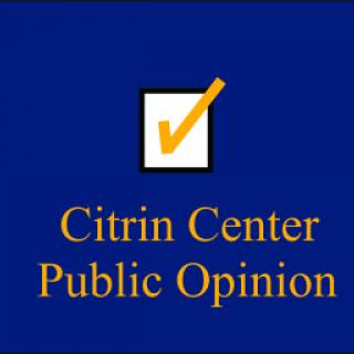 Citrin Center Logo